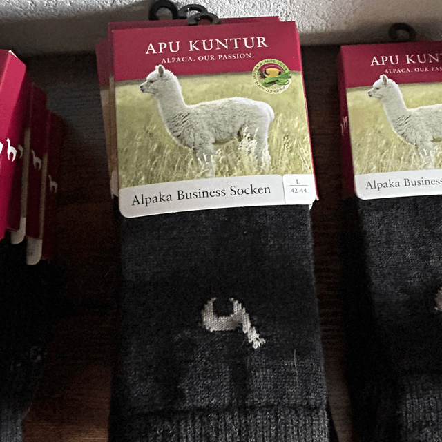 Apukuntur Business Socken