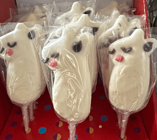 Lollie Alpaka